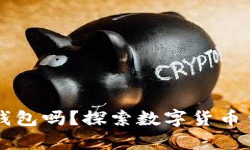 ### TP属于冷钱包吗？探索数字货币钱包的分类与特点