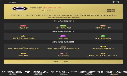 如何在TP钱包中购买BNB：一步步详解与实用技巧