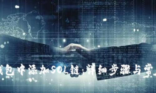 如何在TP钱包中添加SOL链：详细步骤与常见问题解析