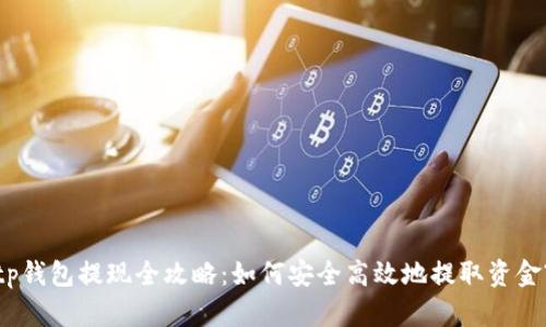 tp钱包提现全攻略：如何安全高效地提取资金?