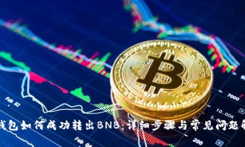 TP钱包如何成功转出BNB：详细步骤与常见问题解析