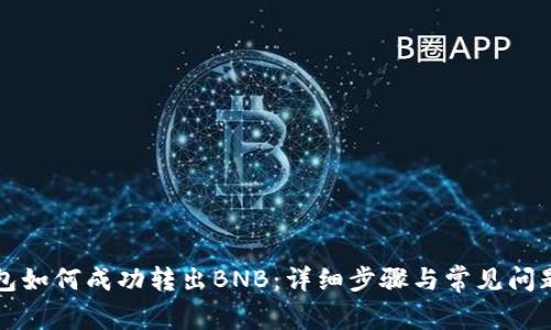 TP钱包如何成功转出BNB：详细步骤与常见问题解析