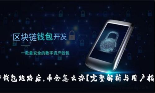 TP钱包跑路后，币会怎么办？完整解析与用户指南