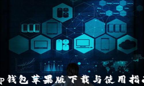 
tp钱包苹果版下载与使用指南