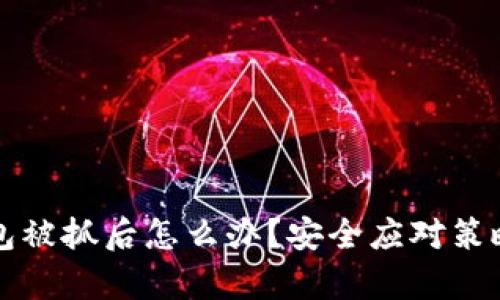 TP钱包被抓后怎么办？安全应对策略解析