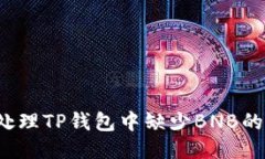 如何处理TP钱包中缺少BN