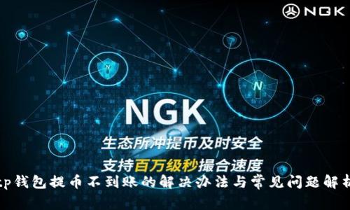 tp钱包提币不到账的解决办法与常见问题解析