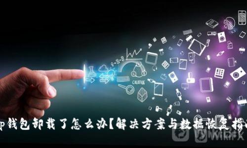 tp钱包卸载了怎么办？解决方案与数据恢复指南