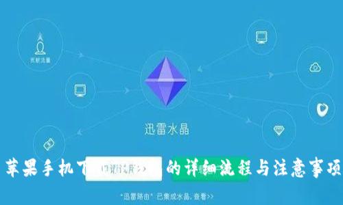 苹果手机下载TP钱包的详细流程与注意事项