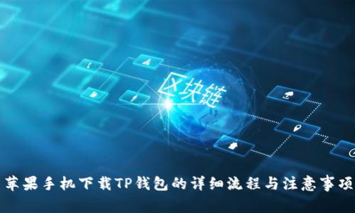 苹果手机下载TP钱包的详细流程与注意事项