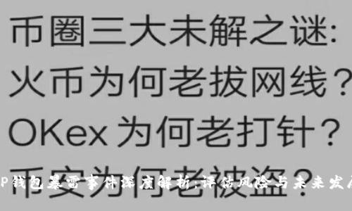 TP钱包暴雷事件深度解析：评估风险与未来发展