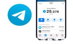 tP钱包下载：安全、方便的