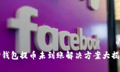 TP钱包提币未到账解决方案大揭秘