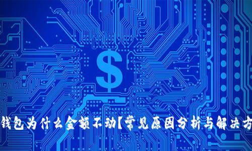 TP钱包为什么金额不动？常见原因分析与解决方案