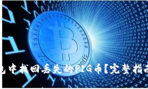 如何在TP钱包中找回丢失的PIG币？完整指南与解决方案