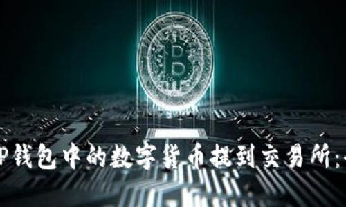 如何将TP钱包中的数字货币提到交易所：全面指南