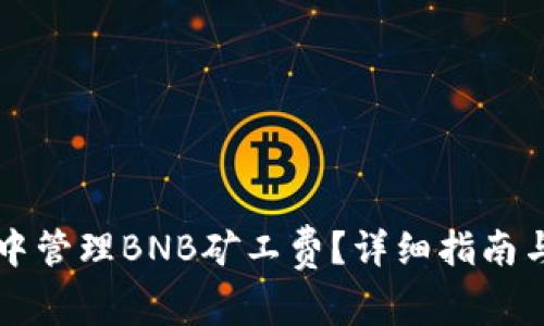 如何在TP钱包中管理BNB矿工费？详细指南与常见问题解析