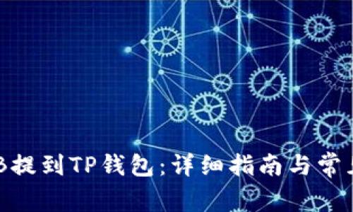 如何将BNB提到TP钱包：详细指南与常见问题解答