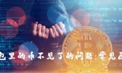 如何解决TP钱包里的币不见了的问题：常见原因与