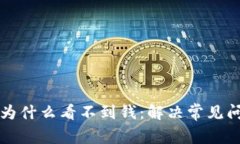 TP钱包为什么看不到钱：解决常见问题指南