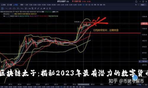 区块链太子：揭秘2023年最有潜力的数字货币