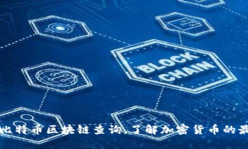 如何充分利用比特币区块链查询，了解加密货币的最新趋势与未来