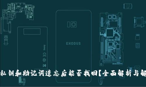 tp钱包私钥和助记词遗忘后能否找回？全面解析与解决方案