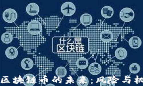 
私募与区块链币的未来：风险与机遇并存