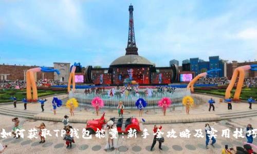 如何获取TP钱包能量：新手全攻略及实用技巧