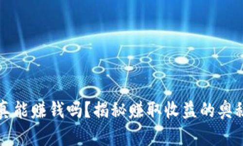 TP钱包真能赚钱吗？揭秘赚取收益的奥秘与陷阱