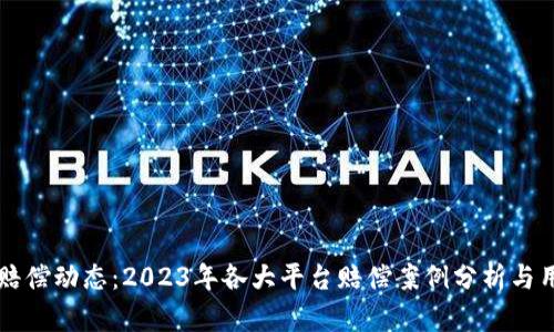 区块链最新赔偿动态：2023年各大平台赔偿案例分析与用户维权指南