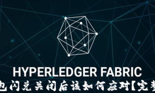 
TP钱包闪兑关闭后该如何应对？完整指南