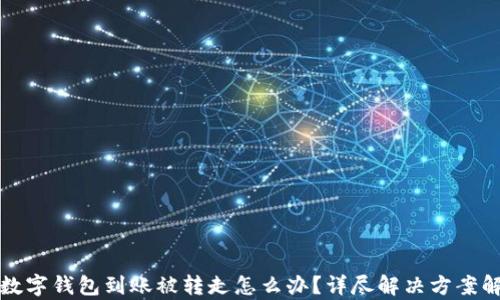 
TP数字钱包到账被转走怎么办？详尽解决方案解析