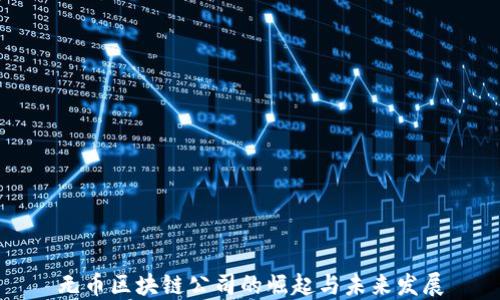 
无币区块链公司的崛起与未来发展