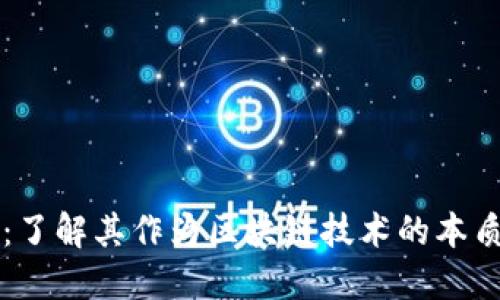 狗狗币：了解其作为区块链技术的本质与应用