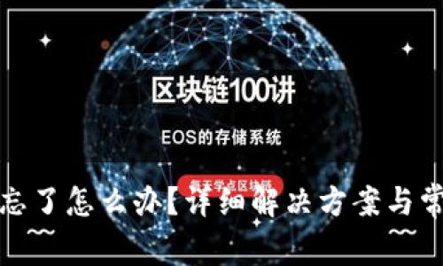 TP钱包密码忘了怎么办？详细解决方案与常见问题解答