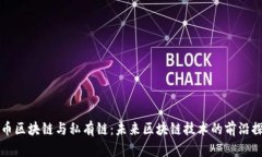 无币区块链与私有链：未