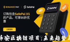 全面解析币安区块链项目